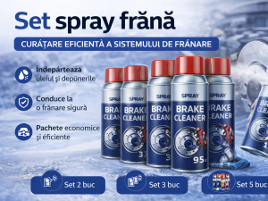 Set spray frână