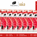 Set 10 Odorizante Auto Paloma Gold New Car – Pachet Economic Premium cu Aromă de Mașină Nouă